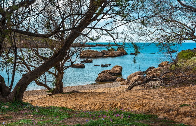 Thea Artemis - Foto 30