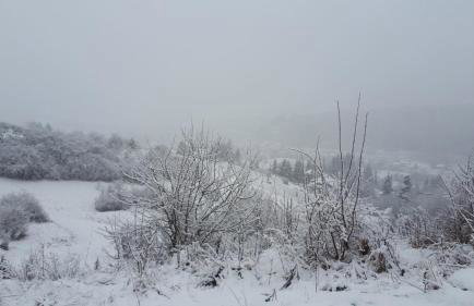 Ferienwohnung Eppler - Foto 7