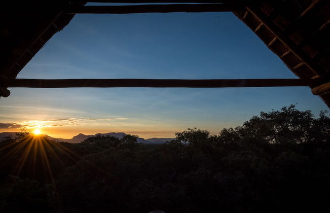 Pezulu Tree House Lodge - Foto 65