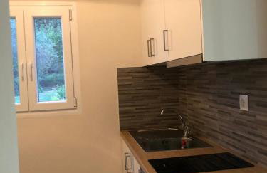 Vasiliki Comfort Apartments - Foto 11