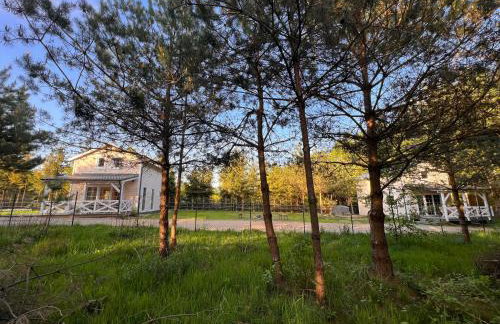 Domki na Kaszubach u Madzi - Foto 59