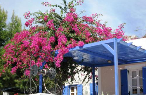 Paradise Resort - Foto 68