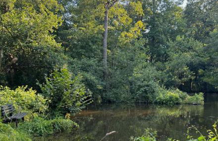 Unique Luxury Villa 22 min to Munich 290m2 Pool Sauna - Foto 62