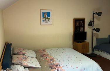 Studio aux pieds des pistes, des chemins de Rando - Foto 7