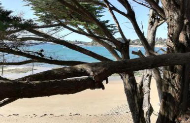 Ker Augustine Maison de pecheur 3 étoiles Clévacances - Foto 16