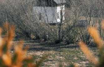 Domek Ranczo Podkówka - Foto 1