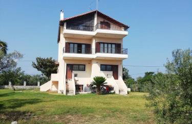 κτήμα ΝΟΣΤΟΣ - Photo 36