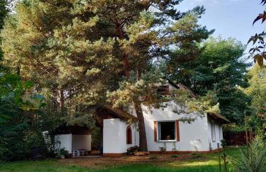 Dom letniskowy w Borach Tucholskich - Foto 1