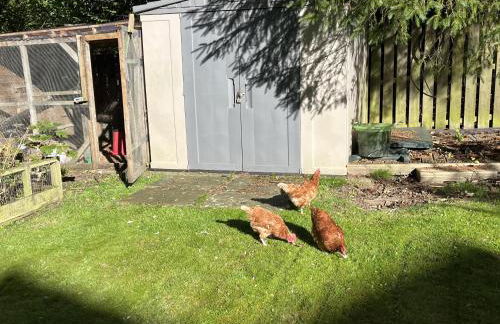 Blaydonburn - Sleeps 4,5 - Parking - Hottub - Yard - Foto 60