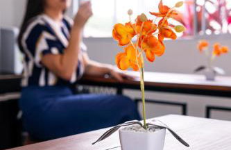 FlyNow Studios: Aeroporto, SP Expo e Metrô - Foto 115