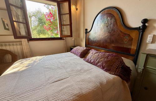 Agriturismo Villa Carducci - Photo 41