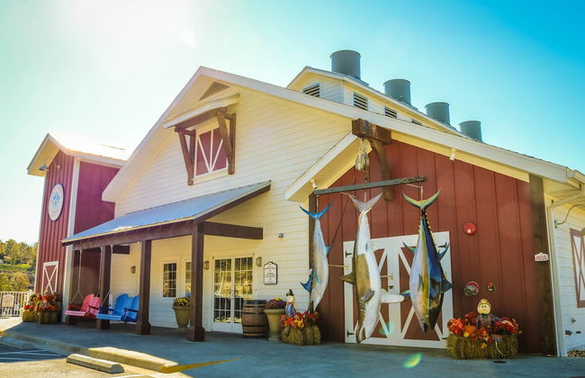 Stormy Point Village Resort - Photo 42