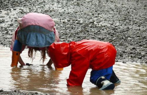 Demeterhof Dünninger - Foto 21