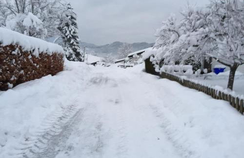 Ferienwohnung Doris Strodl - Foto 4