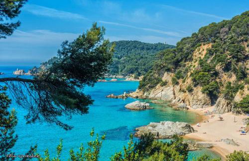 El balcon de la Chus - Foto 47