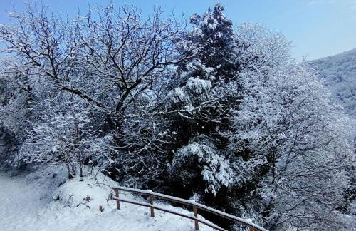 Mas Pardas - Photo 59