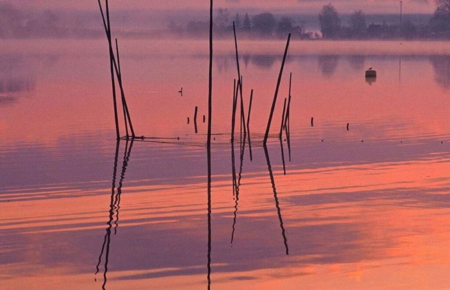 Fishing Luck in the Heart of Plau am See + Wifi - Foto 11