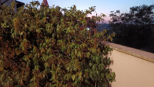 Cuore di toscana - Foto 2