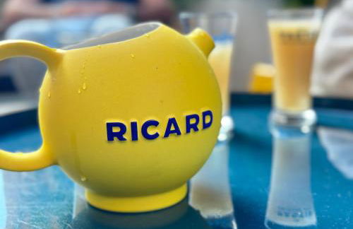 Loft des Chartreux - 150m2 4 chambres Hammam Piscine Centre-ville - Foto 12