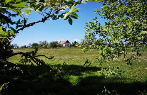 Ferienhaus Nordschwarzwald - Foto 10