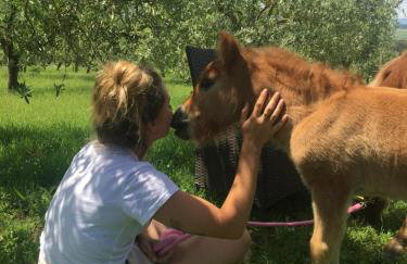 Agriturismo Pieve Sprenna - Foto 75