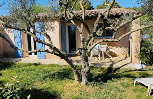 Location climatisée, piscine, animaux acceptés, jardin clôturé, parking, provence , wifi - Foto 12