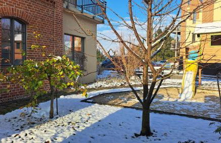 FerienRemise - Foto 34