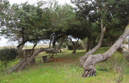 Villa Emma - Foto 61