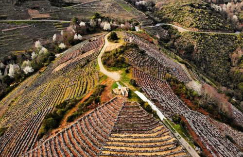 Casa Turística Viladonatus (Ribeira Sacra) - Foto 16