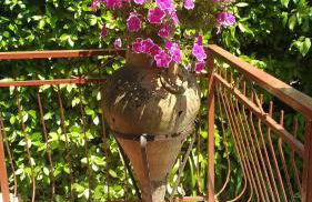 La Bouganville e Il Gelsomino - Foto 31