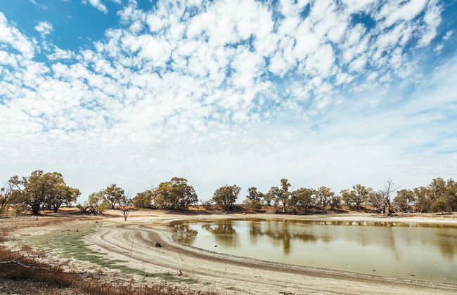 Warrawong on the Darling - Foto 31