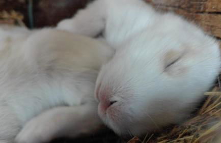 Agriturismo Podere Asche - Photo 17