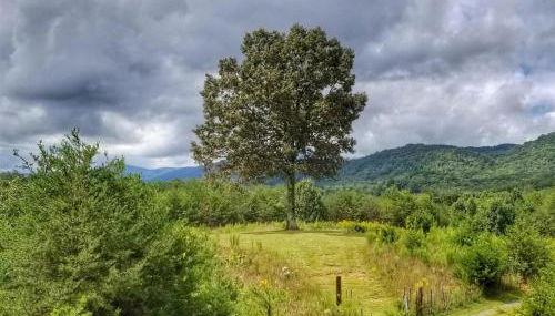 Eula Mae | Ocoee River Area - Foto 3