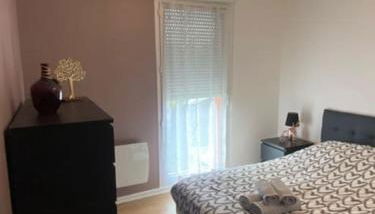 Mulhouse grand T2 -  La Fonderie -Parking gratuit - Foto 2