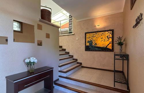 Casa espaciosa con aire acondicionado y admite mascotas en Pau - ES-366-2 - Foto 31