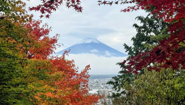 Excursão ao monte Fuji, lago Kawaguchi e pagode Chureito - Foto 5, Lago Kawagushi e Monte Fuji