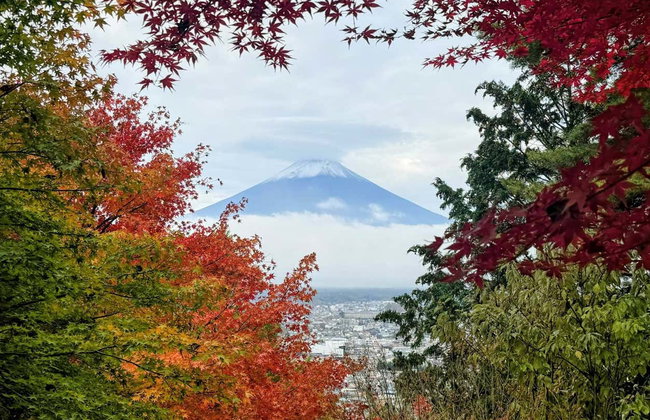 Mount Fuji, Lake Kawaguchi + Chureito Pagoda Day Trip - Foto 5