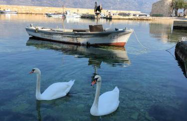 Miro Apartmani - Photo 50