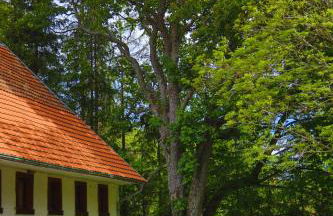 Schwarzwald Escape - Foto 19