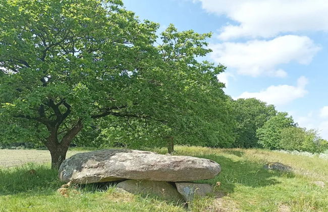 5 Star Holiday Home in Hovborg - Foto 7