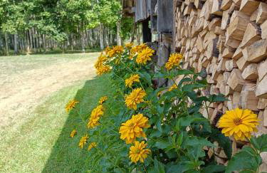 Siedlisko Brzozowe - Foto 29