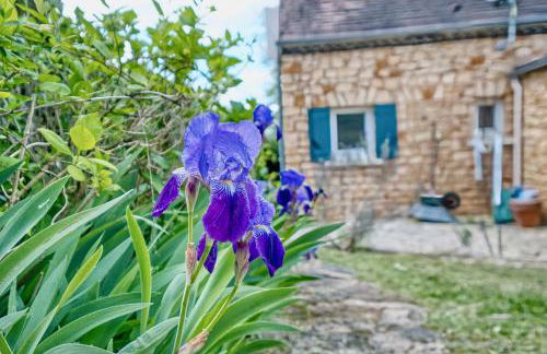 Les Petites Plumes - Foto 33