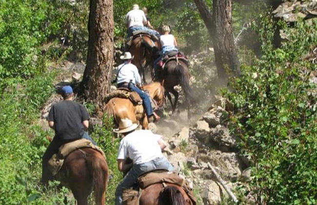 Petradi Hotel - Foto 45