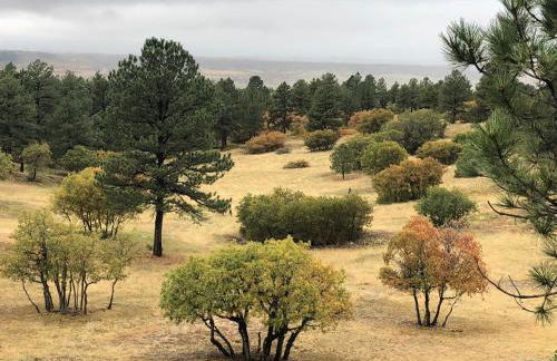 Best Views newly renovated Great pricing - Foto 16