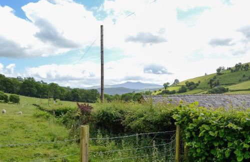 Upper Ffinnant - Photo 17