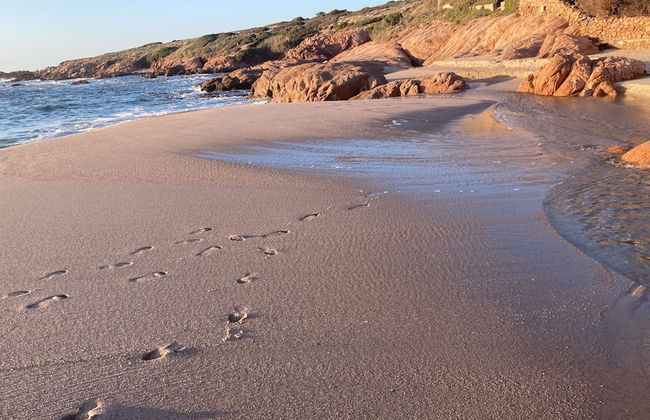 Villa Acacia K&G House Viddalba - Foto 33