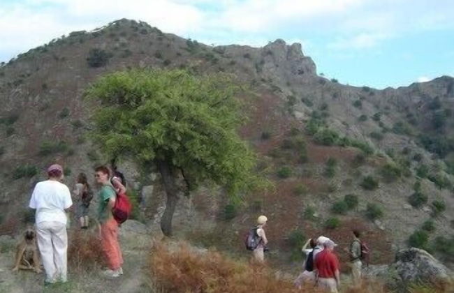 Agriturismo San Cataldo Farm Home - Photo 32