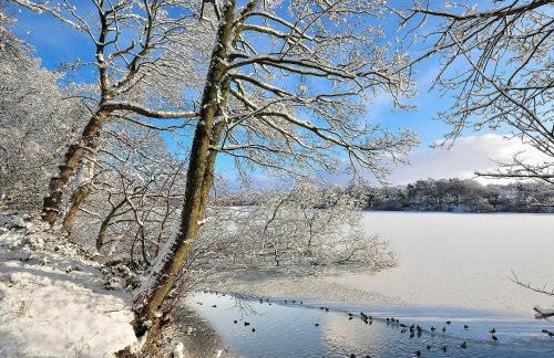 South Lodge Cottage - Photo 11
