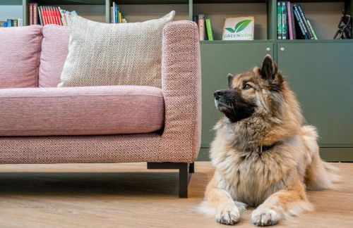 KOOS Hotel&Apartments - City Aparthotel - Foto 15