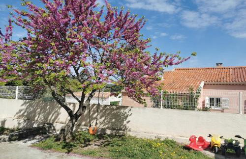 Appartement entre mer et montagne - Foto 14